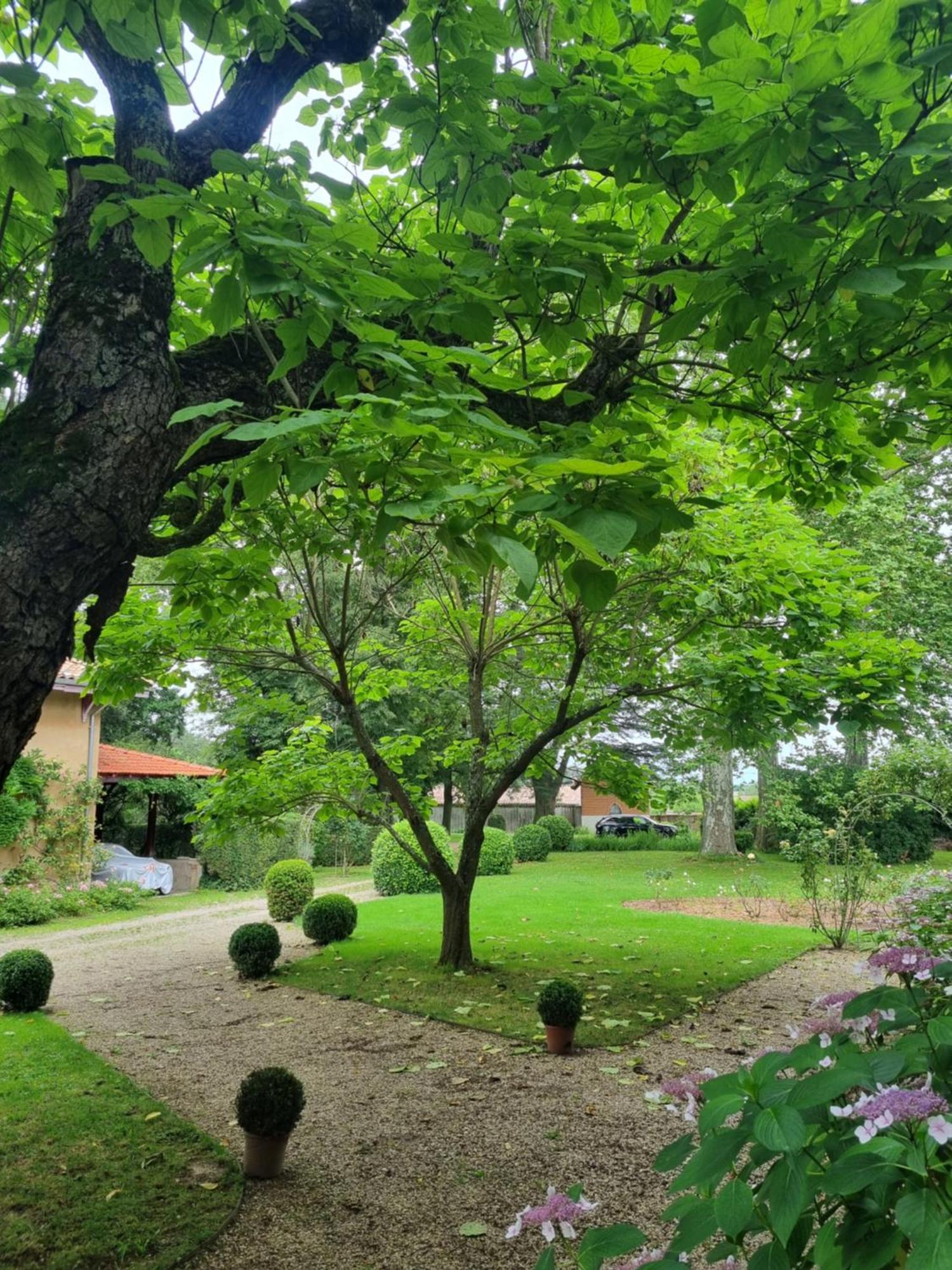 Chateau Des Charmes Guereins Exterior foto